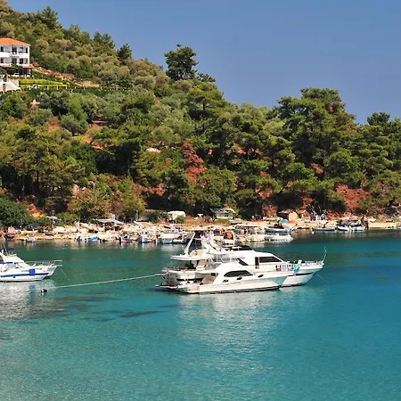 Island View Frühstückspension