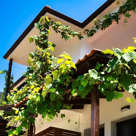 Island View 크리시 아모우디아