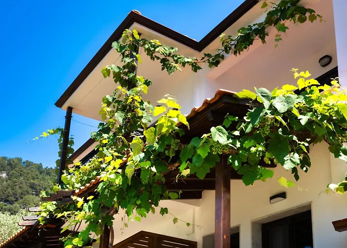 Island View 크리시 아모우디아